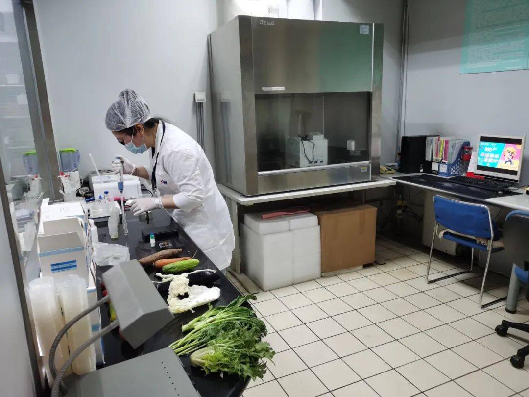榆社食品检测实验室装修方案